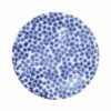 Santorini Flower Dinner Plate -Kitchen Shop VSAN 003000C 2100 web1 1800x1800